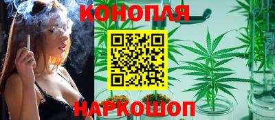 гашик Ипатово
